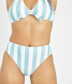 The Plunge Bralette & High Waist Swim Bundle: Cabana Stripe -Outlet No Wire Bras Store 6 on model front swim high waist bikini bottom cabana stripe